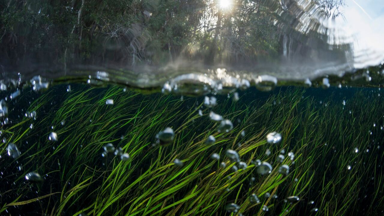 Vignette du programme télé Amérique du Nord : L'empire de la nature