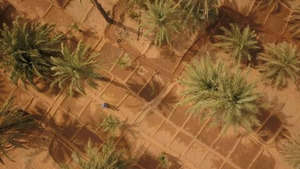 Vignette du programme télé Des trains pas comme les autres (Mauritanie) S11 (1/8)
