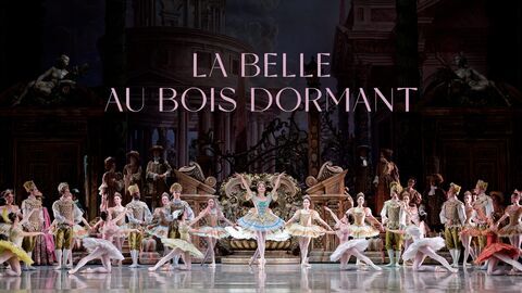 Vignette du programme télé La Belle au bois dormant