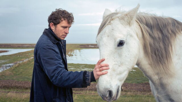 Vignette du programme télé L'homme au cheval blanc