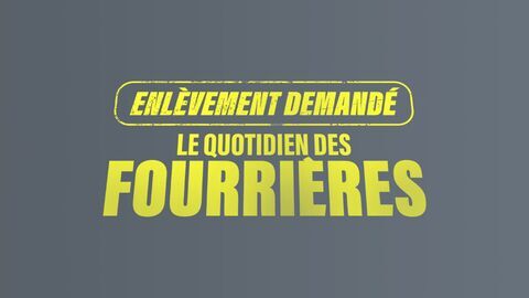 Vignette du programme télé Enlèvement demandé : le quotidien des fourrières