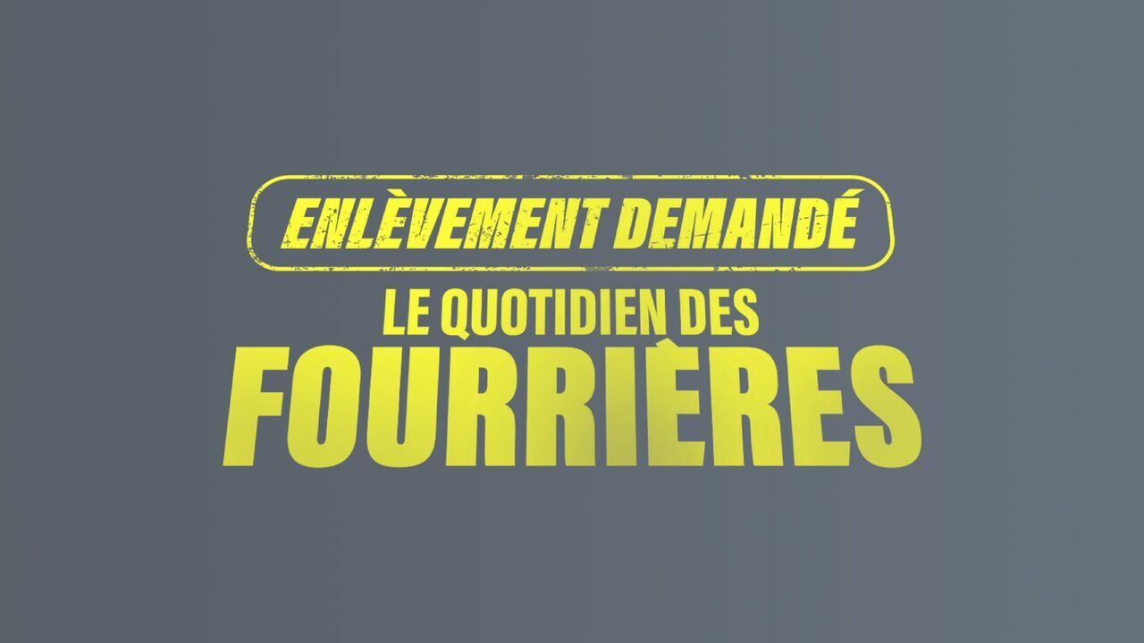 Vignette du programme télé Enlèvement demandé : le quotidien des fourrières