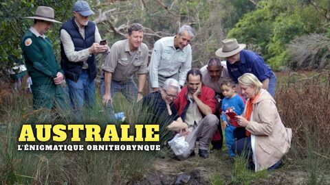 Vignette du programme télé Australie, l'énigmatique ornithorynque