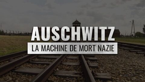 Vignette du programme télé Auschwitz, la machine de mort nazie