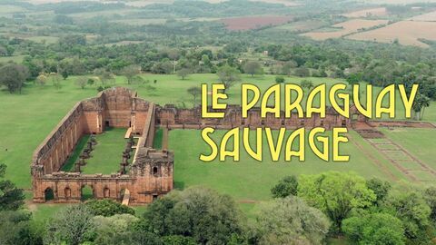 Vignette du programme télé Le Paraguay sauvage