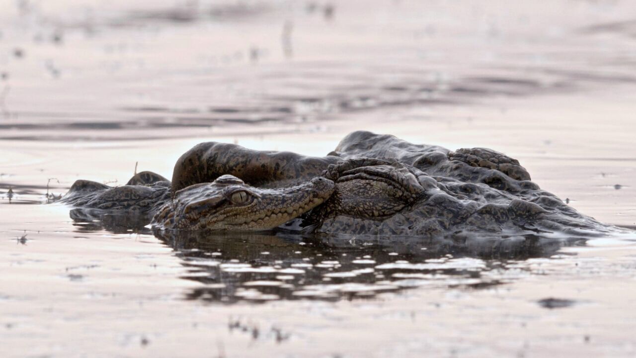 Vignette du programme télé Le sud du Vietnam au fil de l'eau