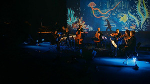 Vignette du programme télé Le Carnaval des animaux