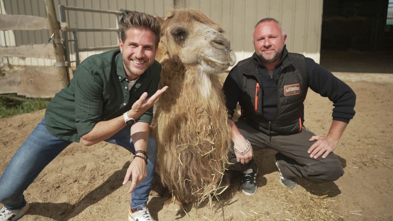 Vignette du programme télé La Tanière, le zoo-refuge de l'espoir