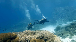 Vignette du programme télé Thalassa, aventures extrêmes (Philippines, îles aux trésors) S3 (n°1)