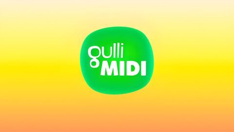 Vignette du programme télé Gulli Midi