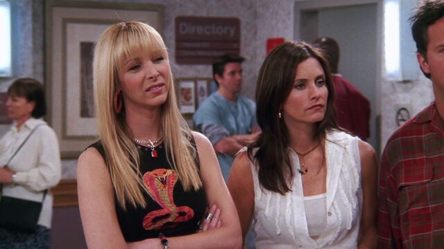 Vignette du programme télé Friends