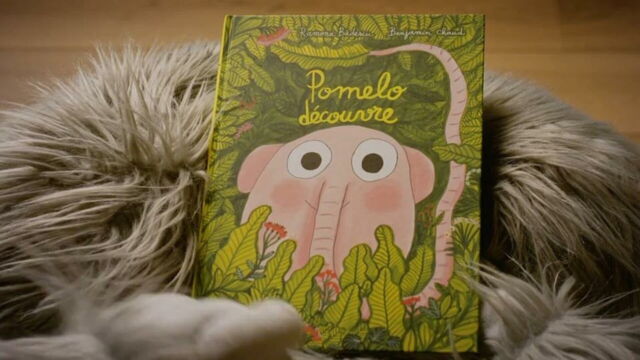 Vignette du programme télé Yétili