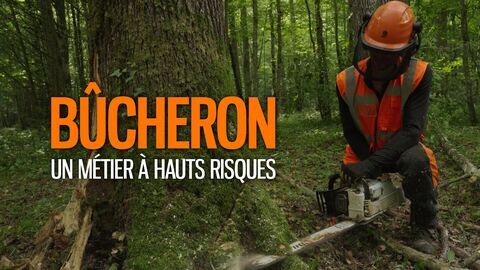 Vignette du programme télé Bûcheron : un métier à hauts risques