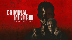 Vignette du programme télé Esprits criminels (Ashley) S14 (8/15)