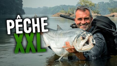 Vignette du programme télé Pêche XXL