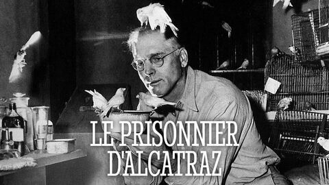 Vignette du programme télé Le prisonnier d'Alcatraz