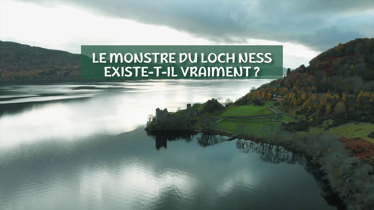 Vignette du programme télé Le monstre du Loch Ness existe-t-il vraiment ?