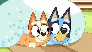 Vignette du programme télé Bluey (Le meuble en kit) S2 (24/52)