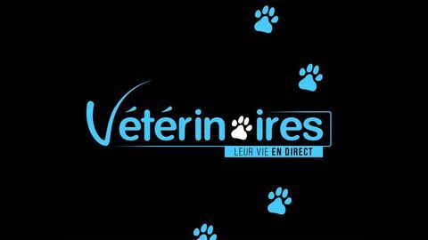 Vignette du programme télé Vétérinaires, leur vie en direct