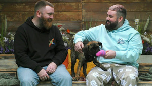 Vignette du programme télé Dog House : un chien pour la vie (Recherche colocataire) S5 (n°11)