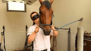 Vignette du programme télé Au galop ! S6 (n°34)
