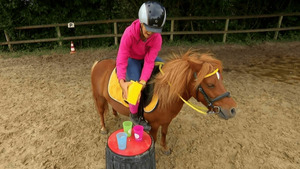 Vignette du programme télé Au galop ! S6 (n°33)
