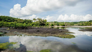 Vignette du programme télé Koh-Lanta S29