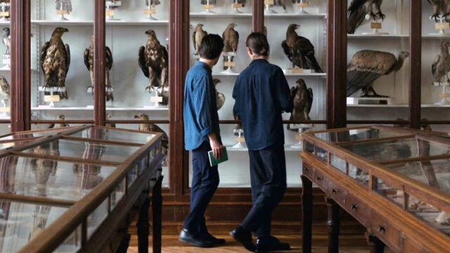 Vignette du programme télé Langue des oiseaux