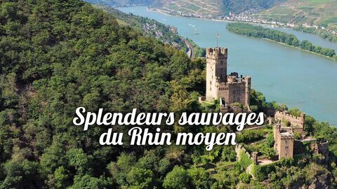 Vignette du programme télé Splendeurs sauvages du Rhin moyen