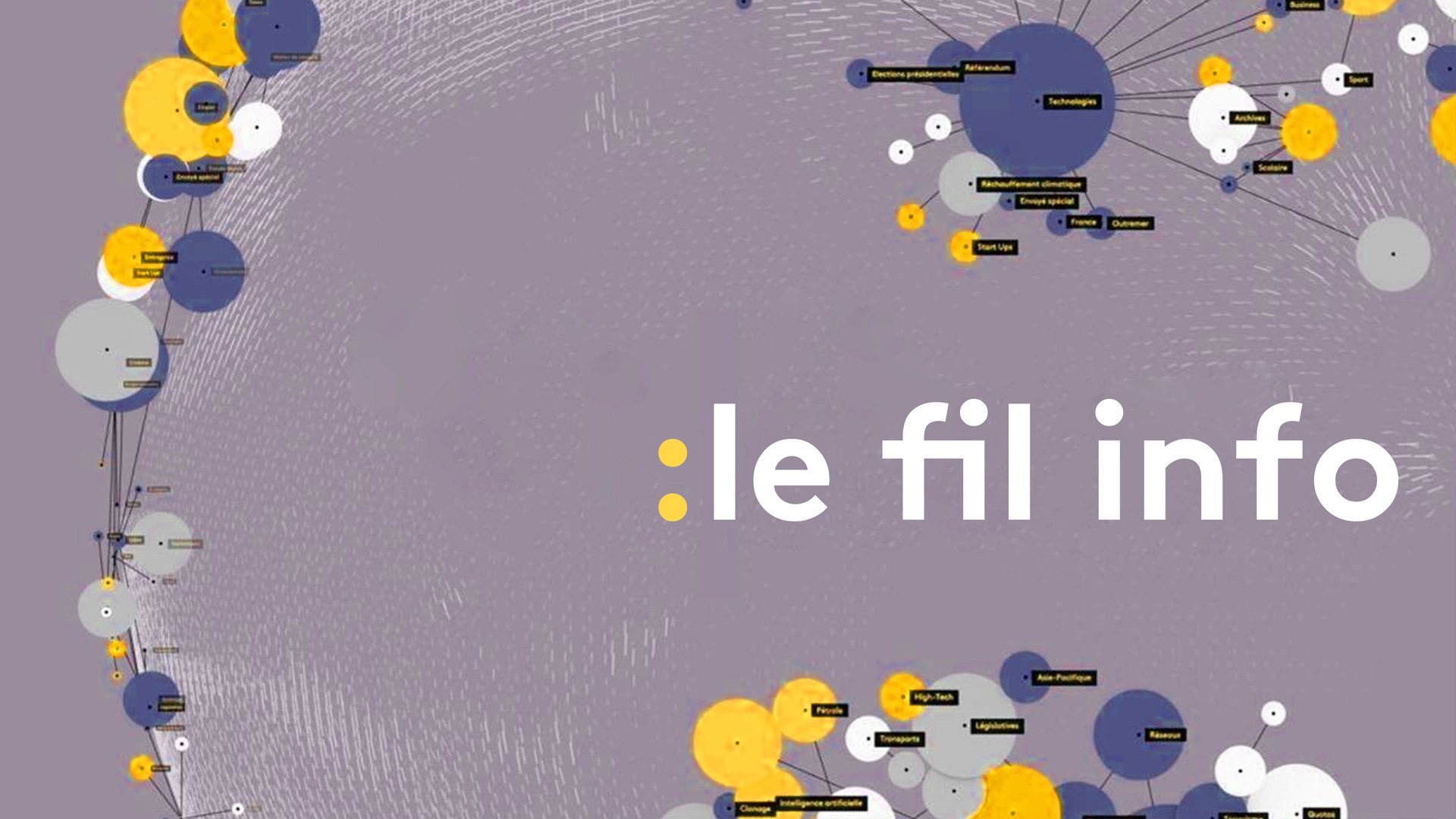 Vignette du programme télé Le fil info