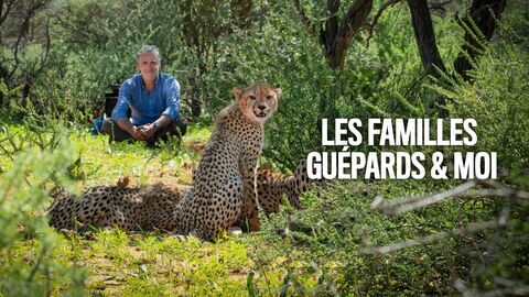 Vignette du programme télé Les familles guépards & Moi