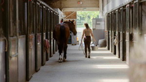 Vignette du programme télé Au galop ! S6 (n°36)