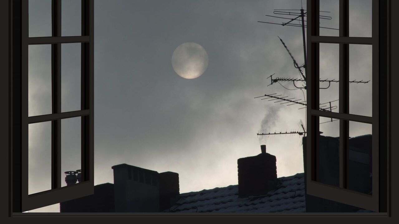 Vignette du programme télé Programmes de la nuit