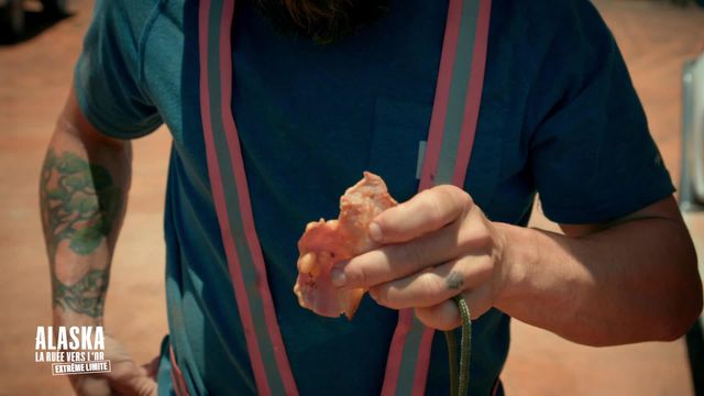 Vignette du programme télé Alaska : La ruée vers l'or - Saison 10