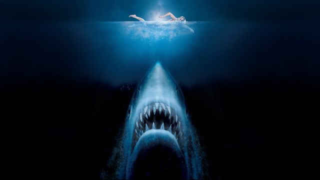 Vignette du programme télé Les dents de la mer