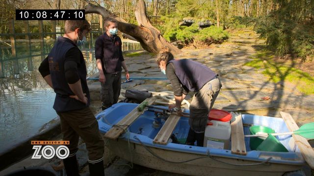 Vignette du programme télé Une saison au zoo - Saison 13