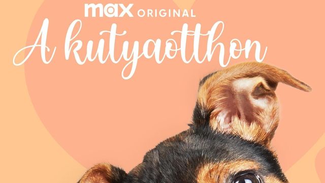 Vignette du programme télé Dog House : un chien pour la vie - Saison 5