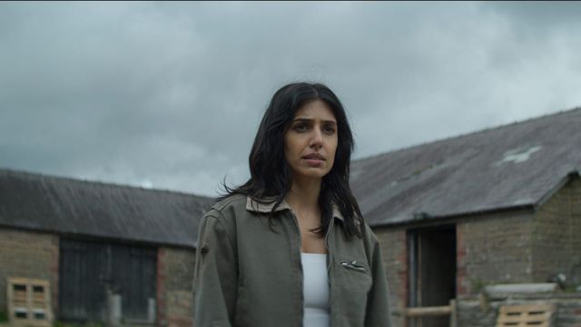 Vignette du programme télé Has Fallen - Saison 2