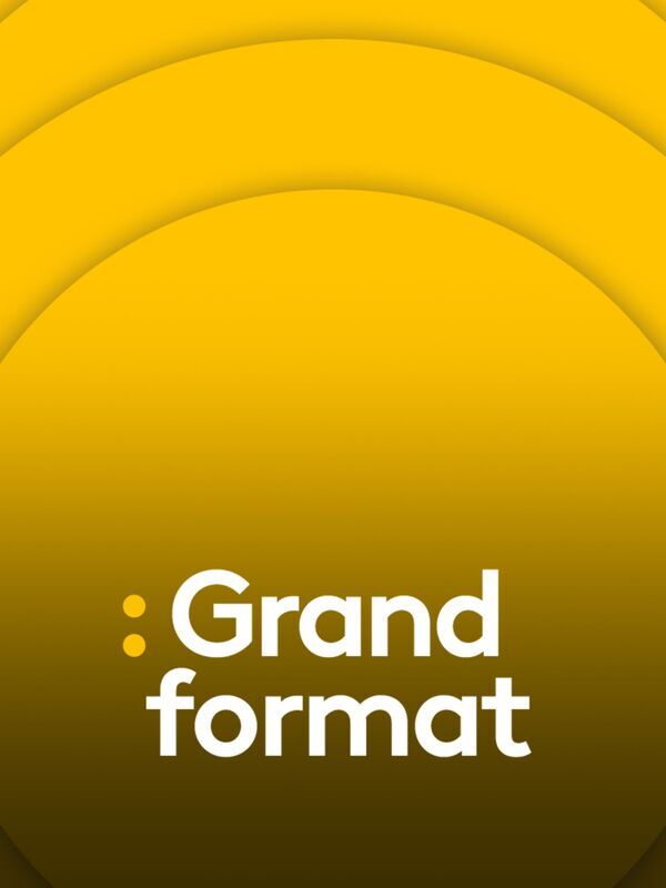 Vignette du programme télé Grand format