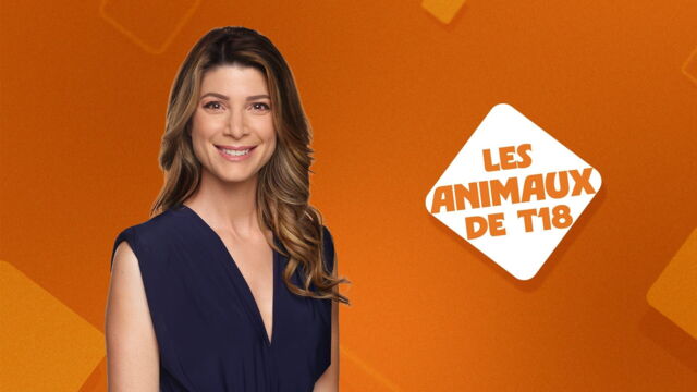 Vignette du programme télé Les animaux de t18