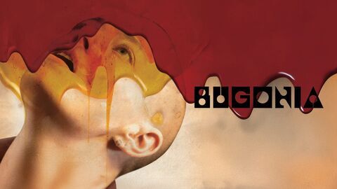 Vignette du programme télé Bugonia