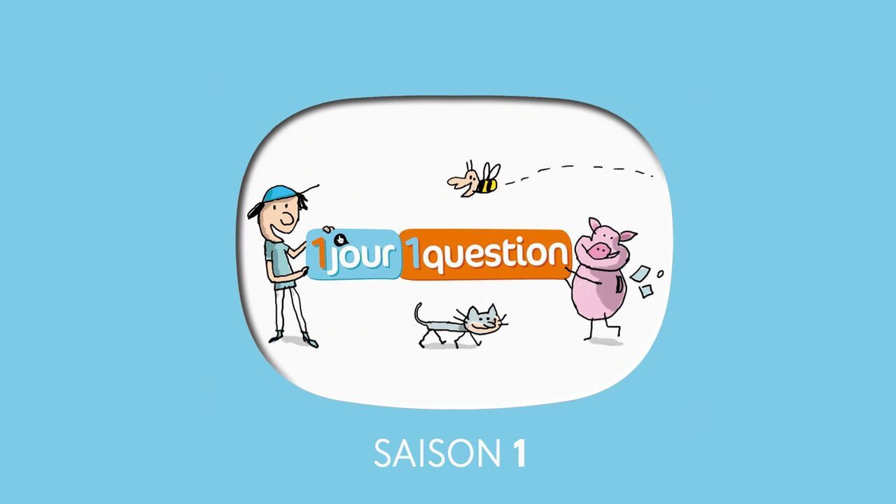 Vignette du programme télé Un jour, une question
