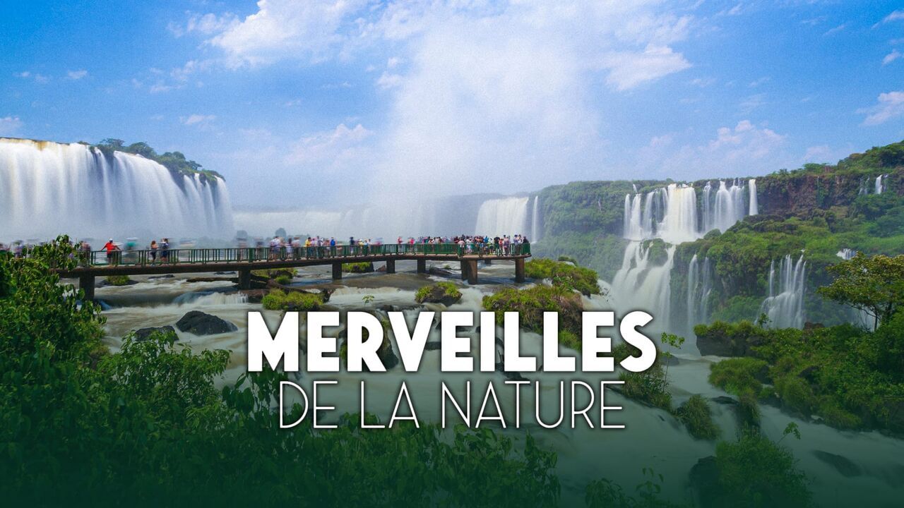 Vignette du programme télé Merveilles de la nature