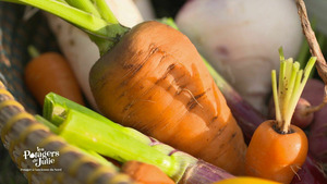 Vignette du programme télé Les potagers de Julie S2