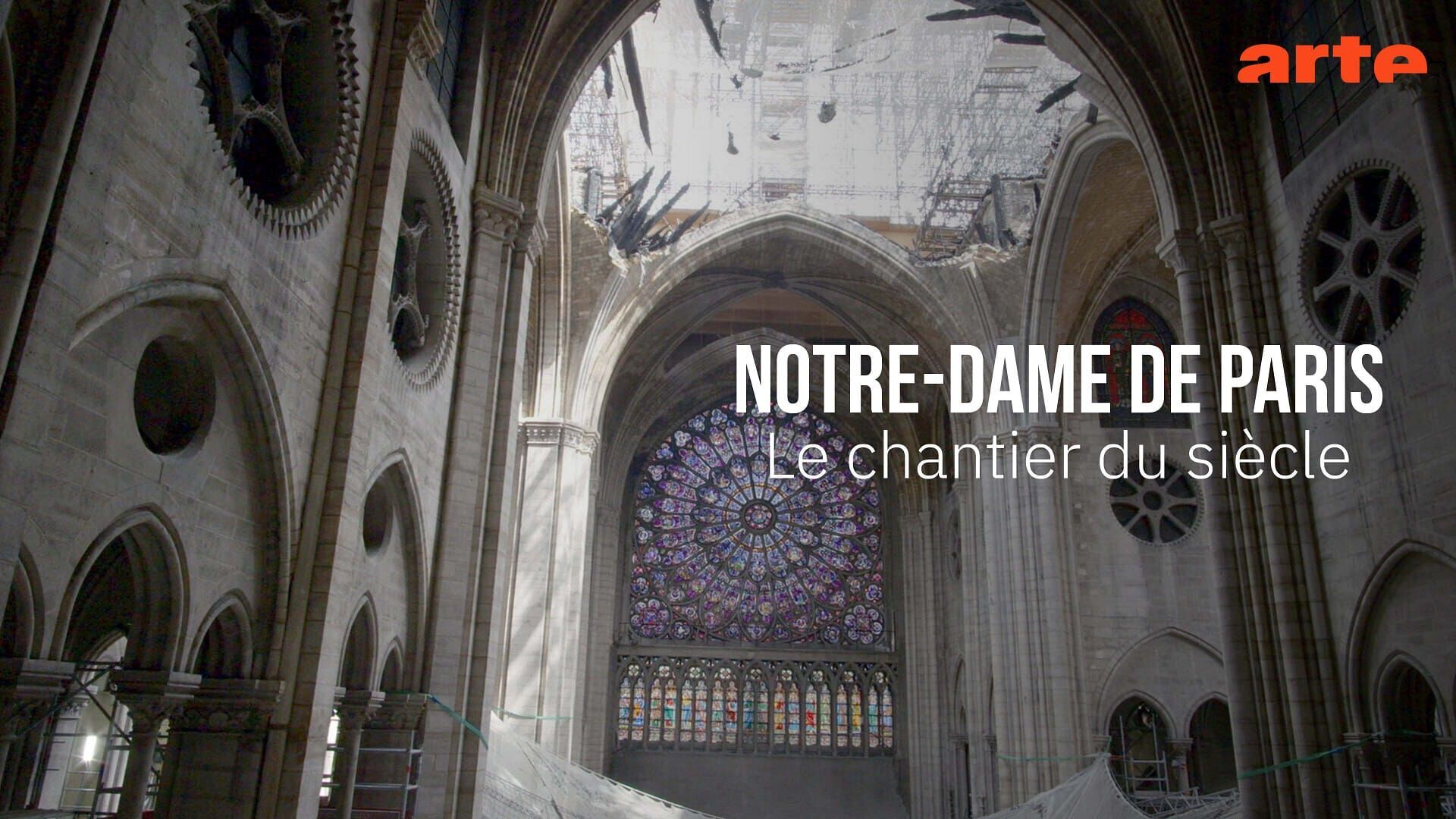 Vignette du programme télé Notre-Dame de Paris, le chantier du siècle