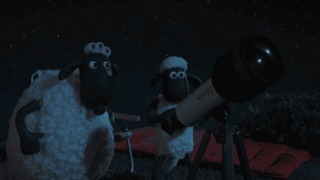 Vignette du programme télé Shaun le mouton