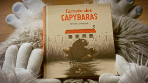 Vignette du programme télé Yétili (L'arrivée des Capybaras) S4 (49/69)
