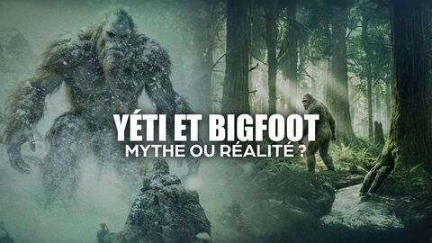 Vignette du programme télé Yéti et bigfoot : mythe ou réalité ?