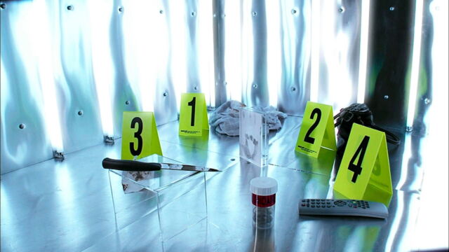 Vignette du programme télé Sur la scène du crime