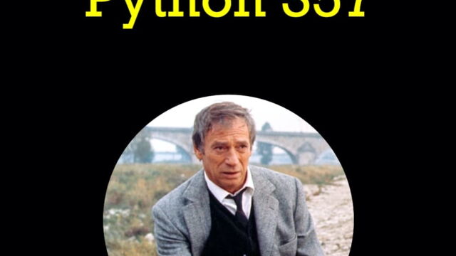 Vignette du programme télé Police Python 357